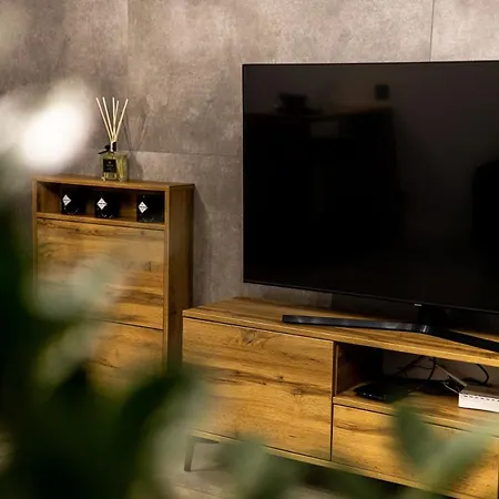 Exclusive Place With Underground Parking And Terrace オシフィエンチム